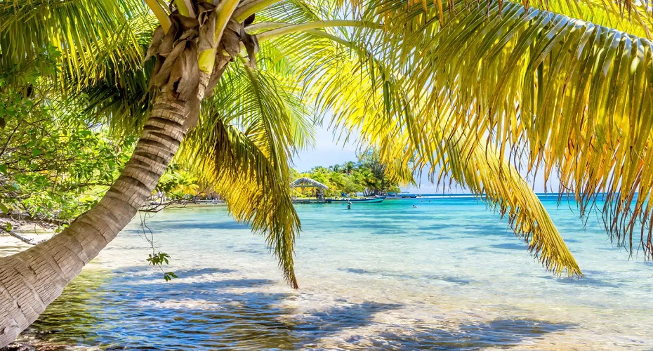How To Get Cheap One Way Flight Tickets?